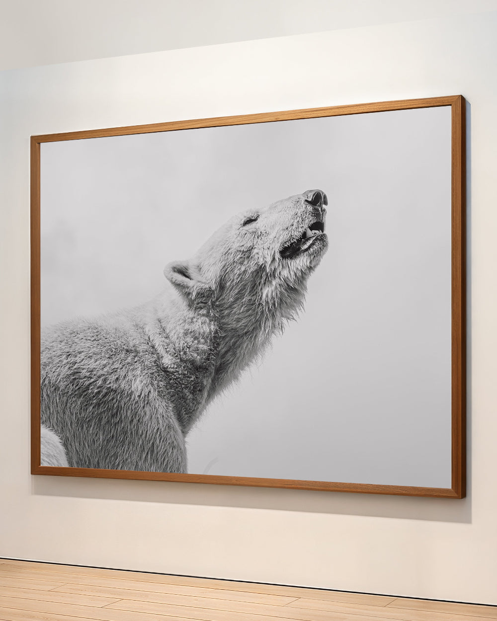 Eisbär