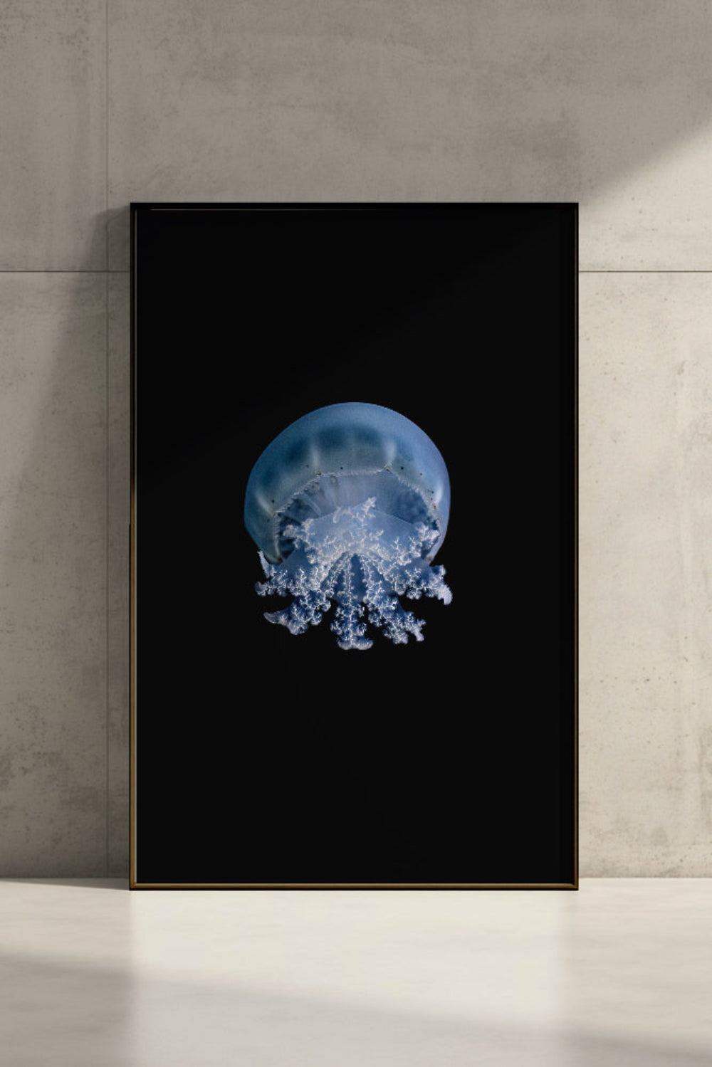 Lungenqualle (Rhizostoma pulmo) gerahmt