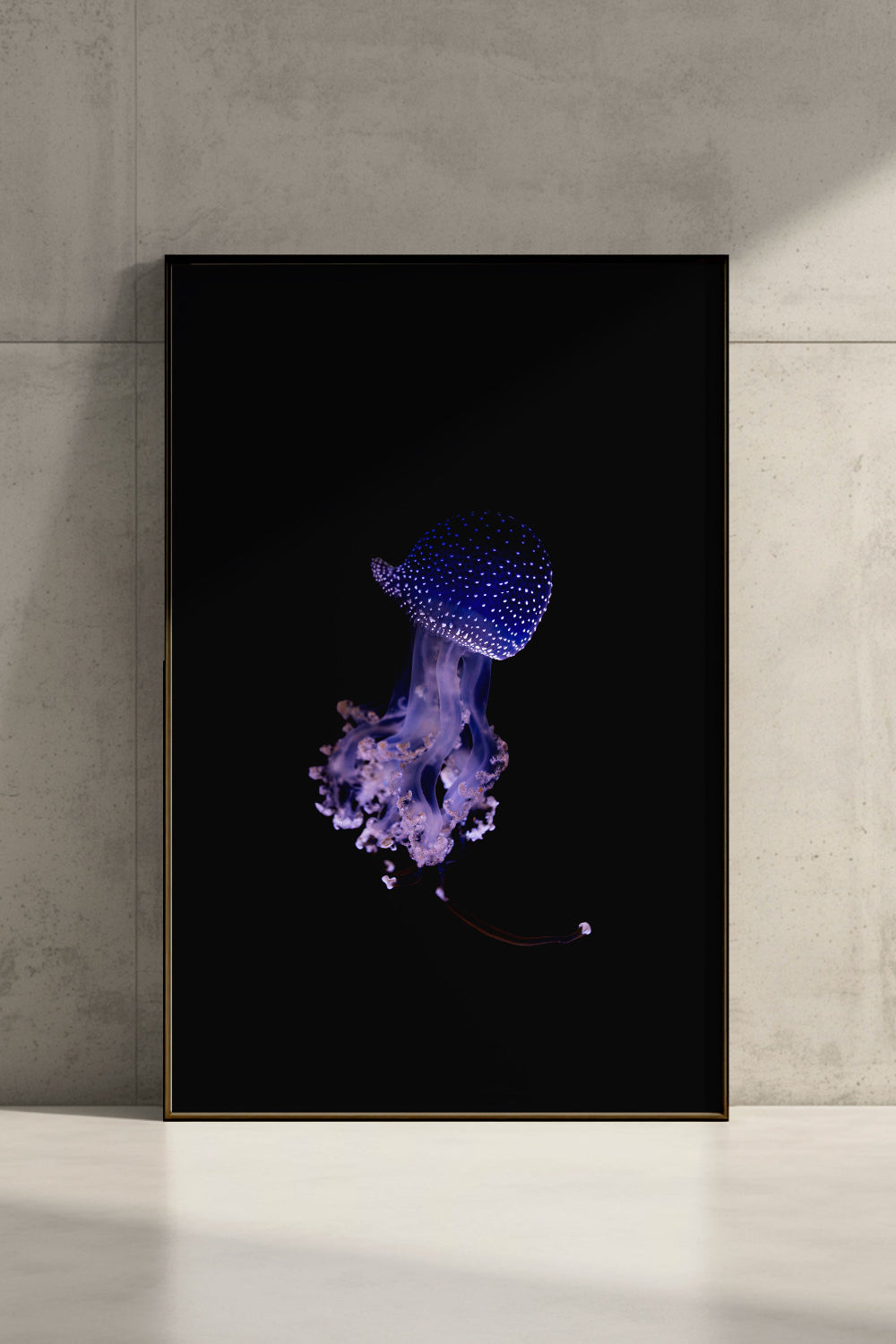 Gefleckte Wurzelmundqualle, gerahmt